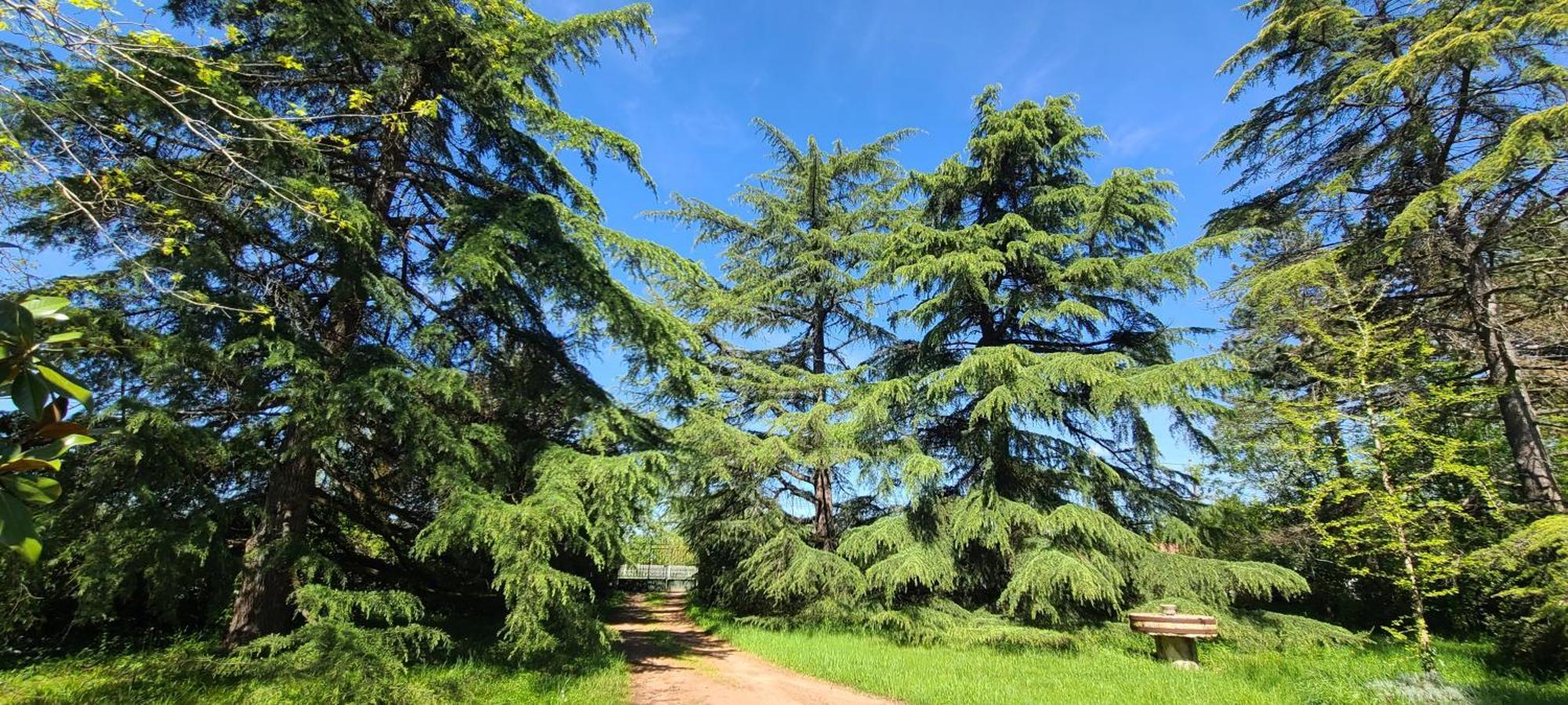 مبيت وإفطار فينوف سور لو Le Manoir Du Moulin De Madame المظهر الخارجي الصورة
